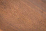 Cuccia Gatto Standard - immagine 5